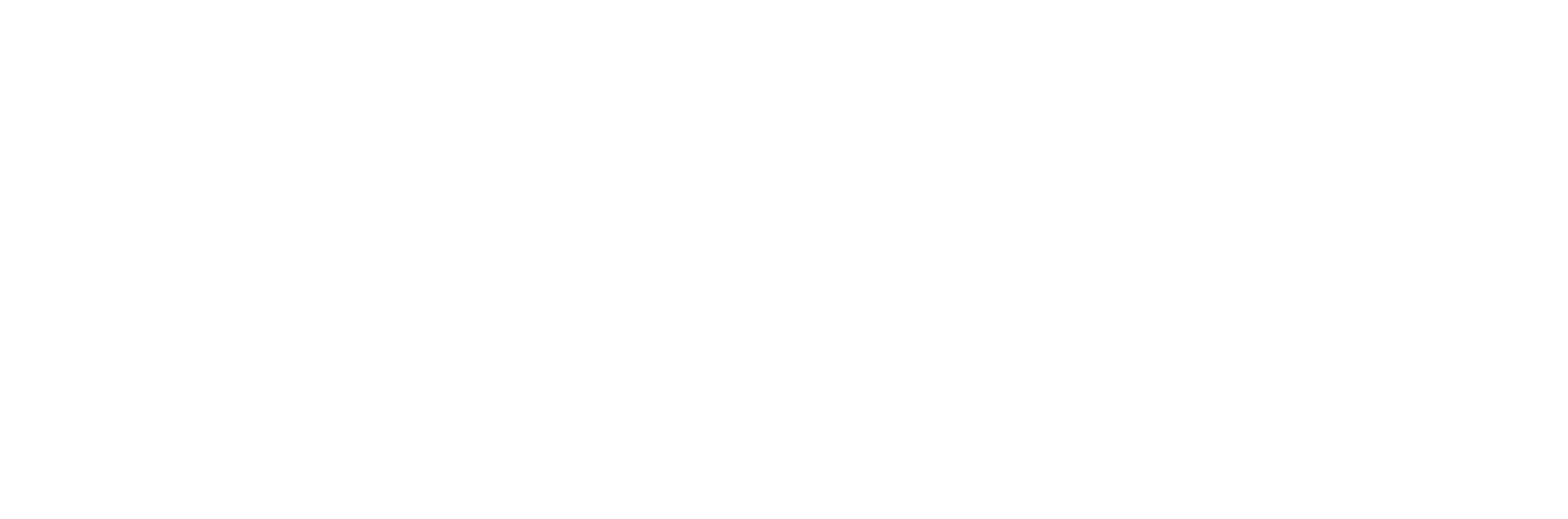 Sadna Company Logo