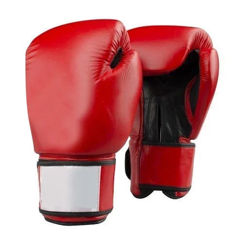 Coach Glove 
