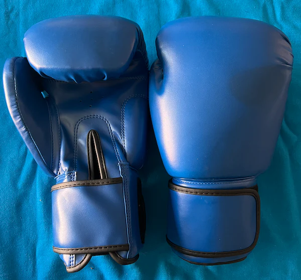 Coach Glove 
