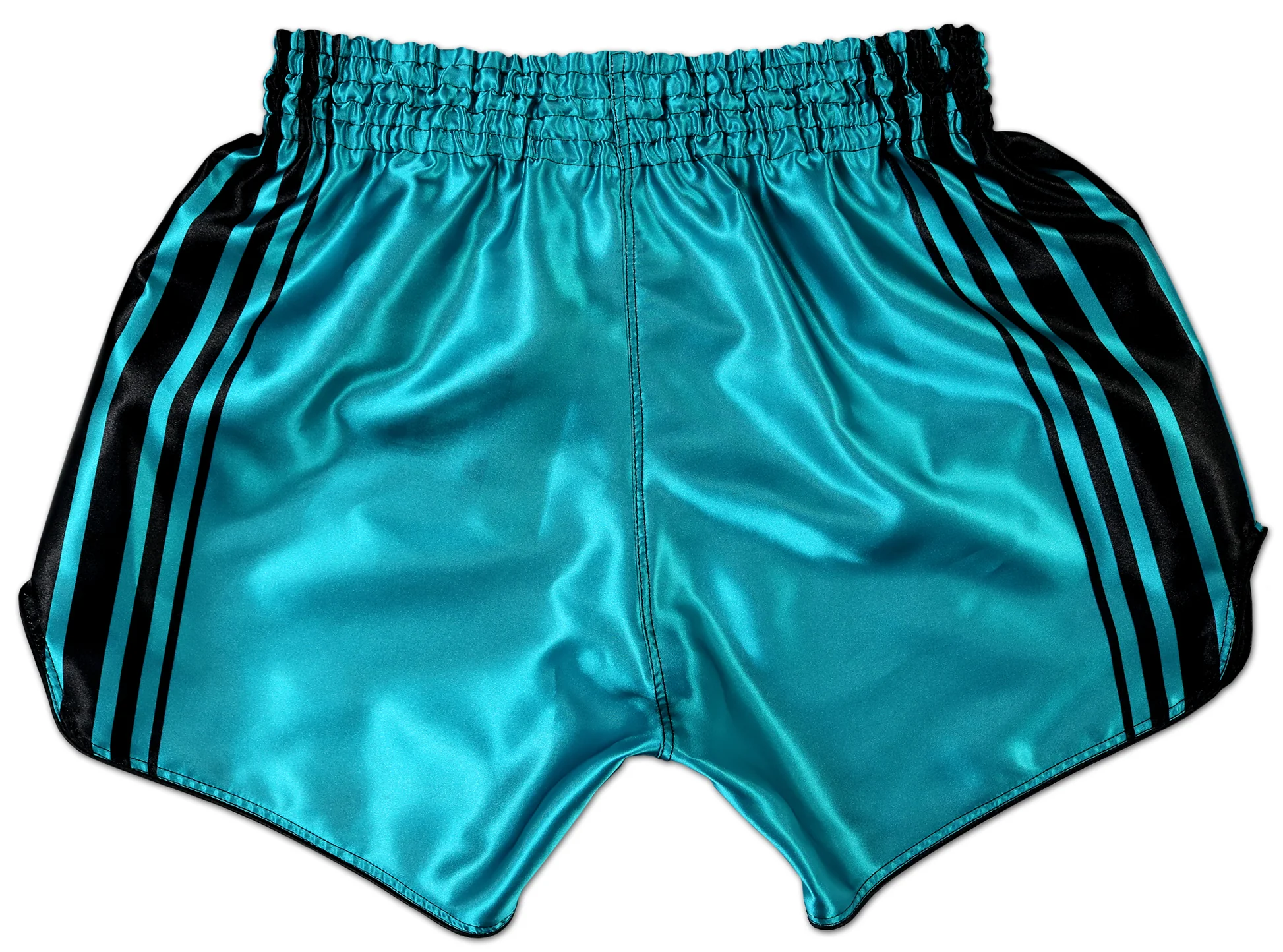 Muay Thai Shorts 